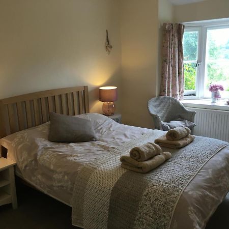 200 Year Old Gardener'S Cottage, Mid Wales 拉尼德洛伊斯 外观 照片