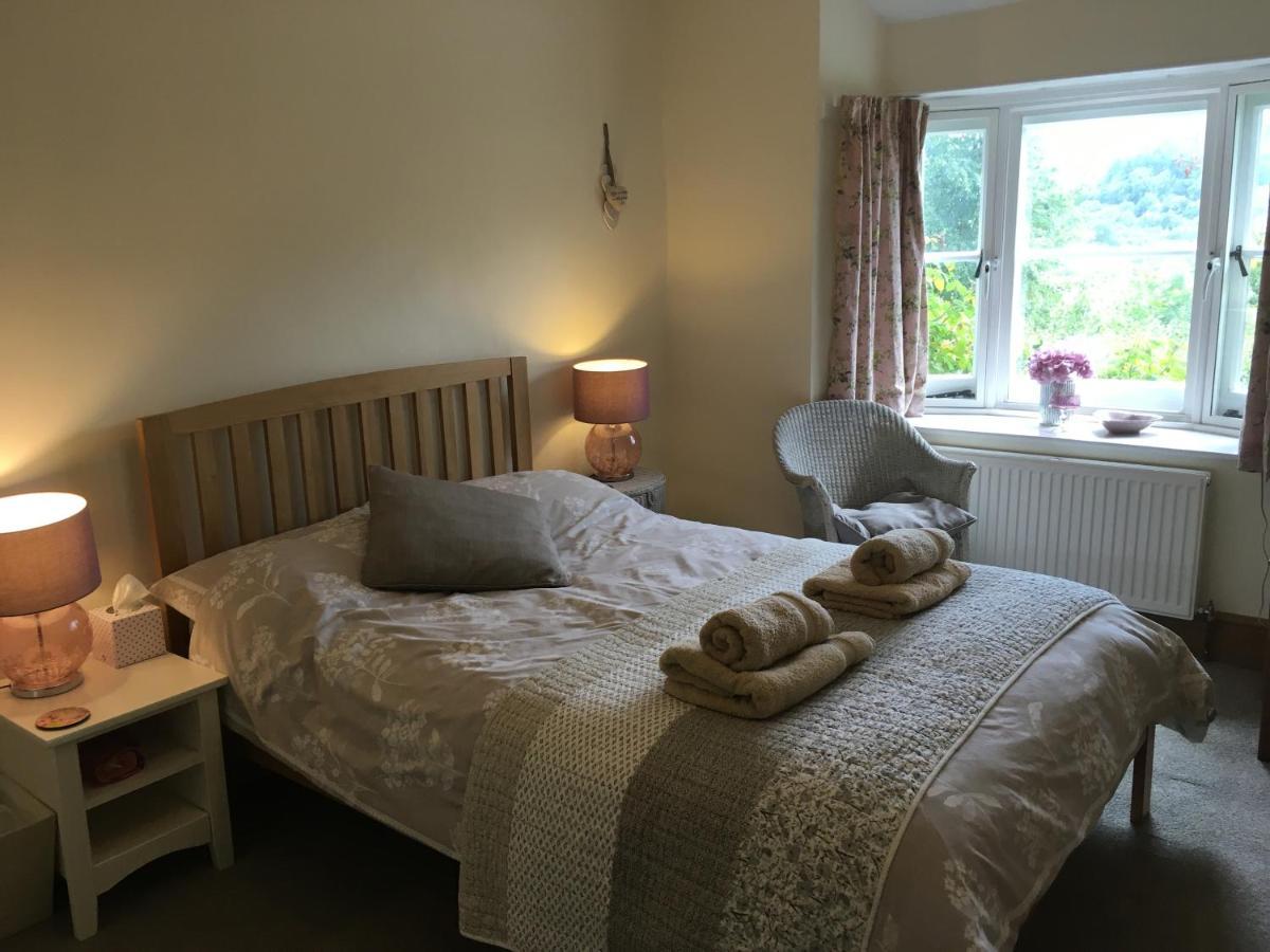 200 Year Old Gardener'S Cottage, Mid Wales 拉尼德洛伊斯 外观 照片
