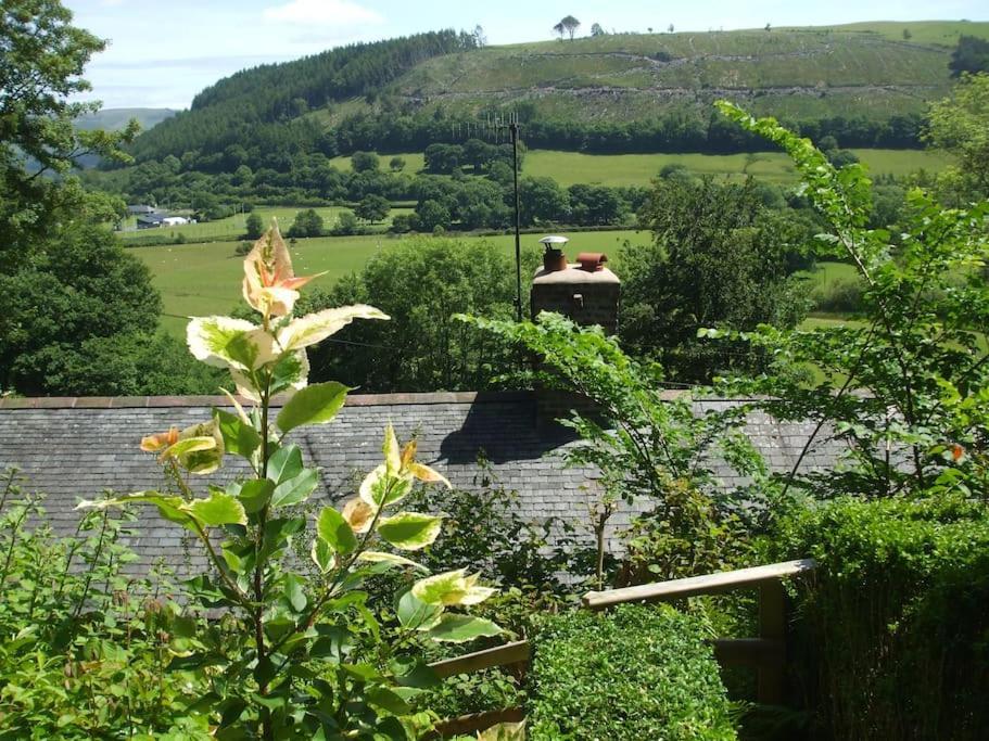 200 Year Old Gardener'S Cottage, Mid Wales 拉尼德洛伊斯 外观 照片